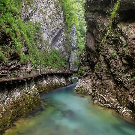 Mavrica דירה בלד